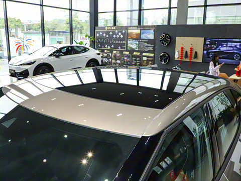 2024�� �Ŀ� Pro ��������