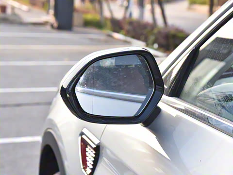 2025�� 2.0T ��������Pro��