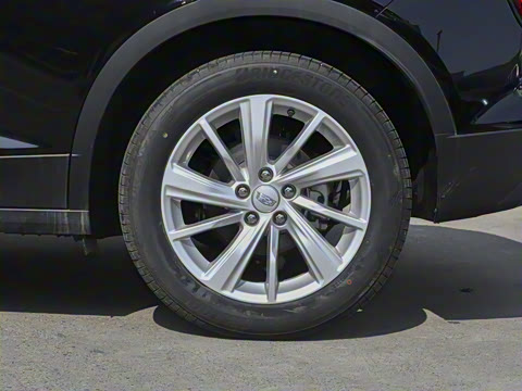 2023�� 25T ������