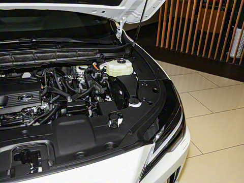 2023�� 350h ����������