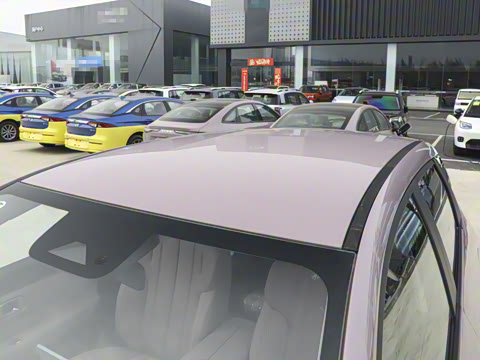 2025�� 420������