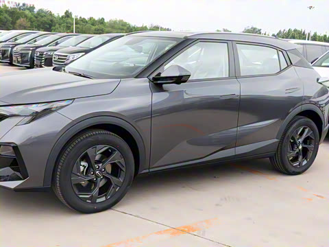 2025�� Ӱ�� 270T ������ ƽ������