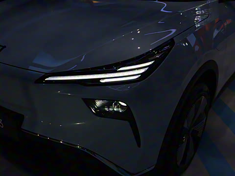 2025�� 565km ������