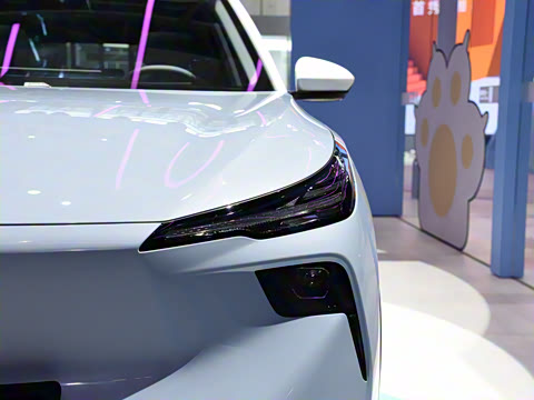 2025�� 565km ������