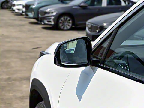 2025�� ���Ĵ� 1.5TD DCT �﷫