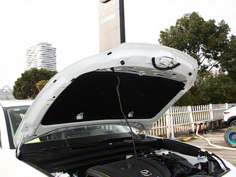 2024�� 2.0L �Զ�������