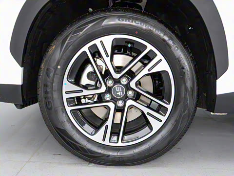 2024�� 1.5TD DHT MAX