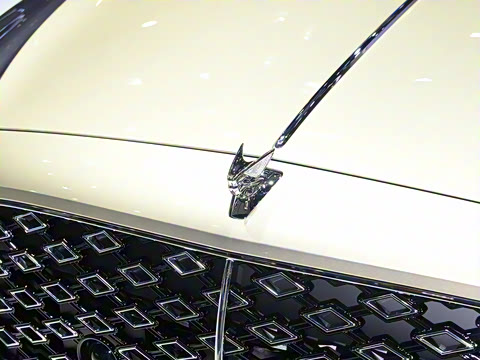 2024�� 4.0T V8 Mulliner