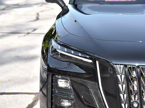 2025�� 2.0T �Զ���Ӱ��