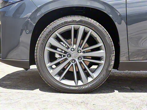 2024�� ���� 520�����״��