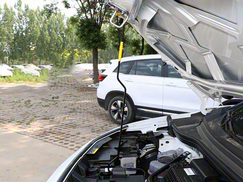 2025�� �Ŀ� ������ ���ڰ�