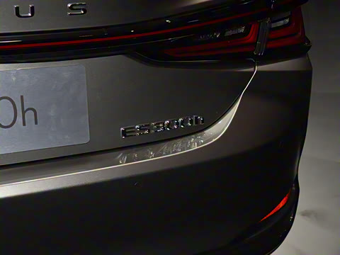 2025�� 300h ������