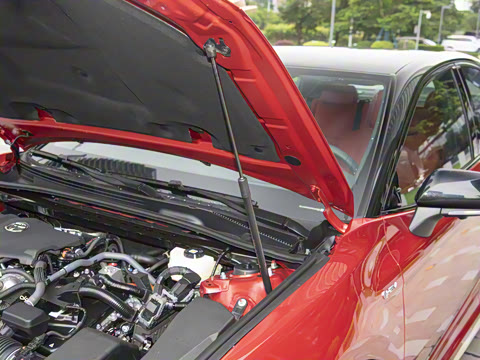 2024�� ˫�� 2.5HXS �˶�Plus��