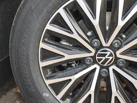 2025�� 200TSI DSG��Խ��