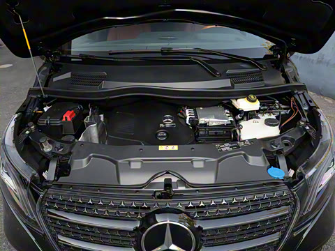 2025�� �����ű���