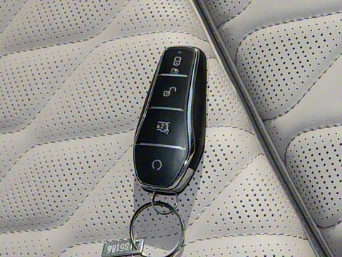 2025�� �Ǽݰ� DM-i 115KM �콢��