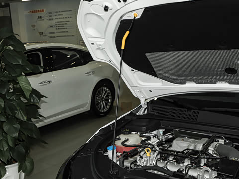 2024�� ���Ĵ� 2.0T �캽��