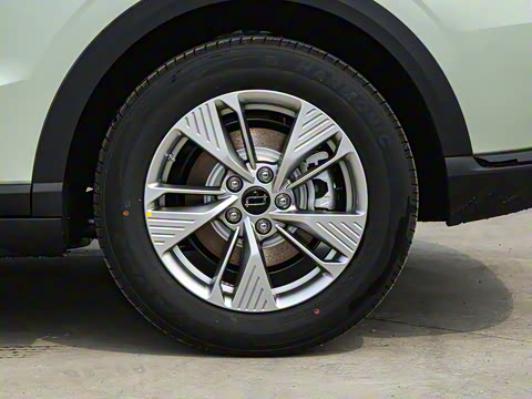 2025�� 445km ���ð�