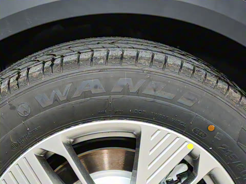 2025�� 445km ���ð�