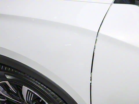 2025�� DM-i 115KM������