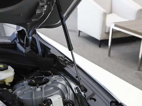 2025�� 28T �����˶���