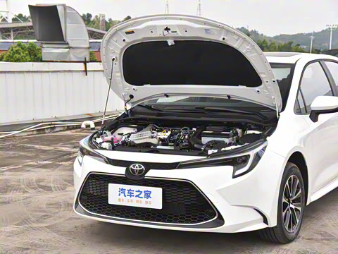 2024�� 185T CVT������