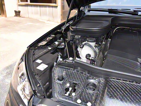 2025�� ����������