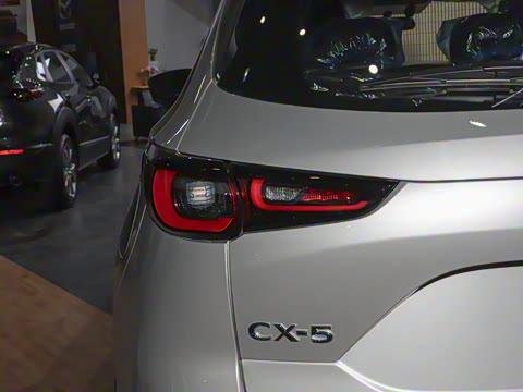 2024�� 2.0L �Զ�����������