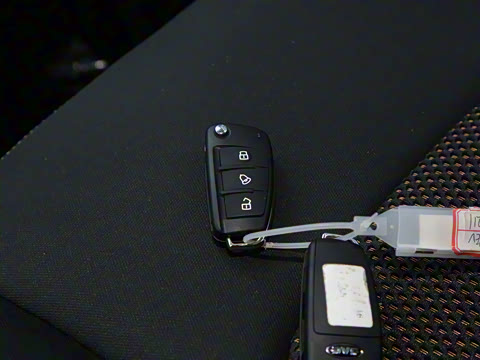 2025�� PLUS 2.0L ��Ӣ��