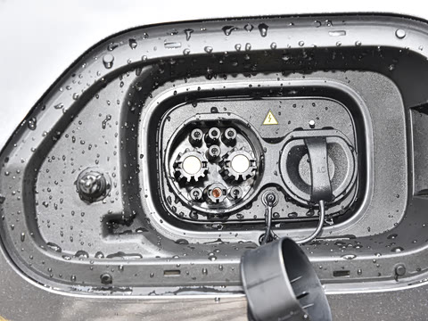 2024�� ����������