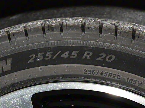 2024�� ������ Max