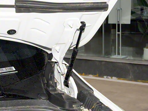 2023�� 755 �������� Max