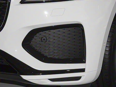 2025�� P250 R-Dynamic SE