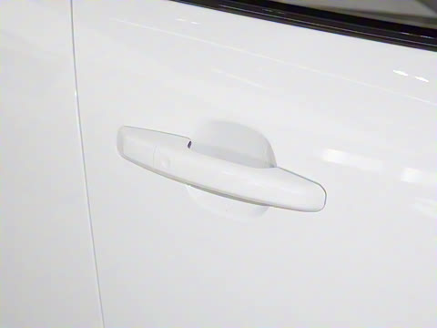 2025�� P250 R-Dynamic SE