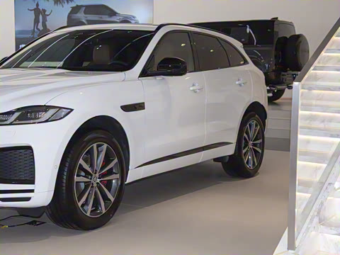 2025�� P250 R-Dynamic SE