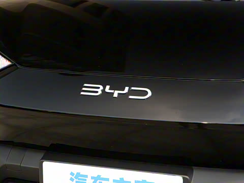 2025�� 305km ������