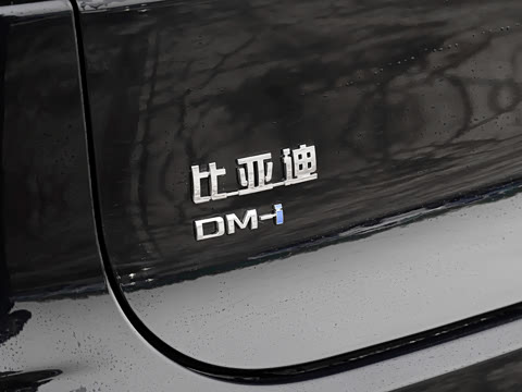 2024�� DM-i ��ҫ�� 112KM �����