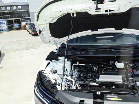 2025�� �Ŀ� ���� 2.0L CVT XV���İ�