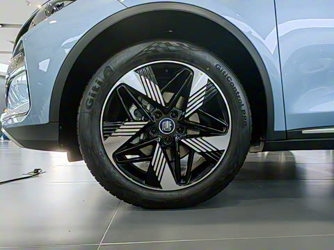 2024�� DM-i ��ҫ�� 112KM ������