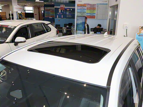 2024�� 2.0L ���ܵ��˫�� ������