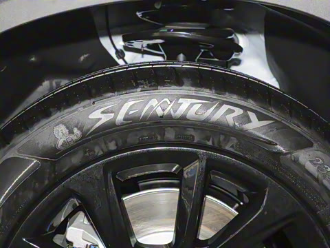 2024�� 520 ���а�