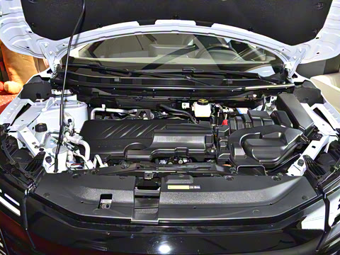 2025�� ���� 2.0L CVT XV���İ�