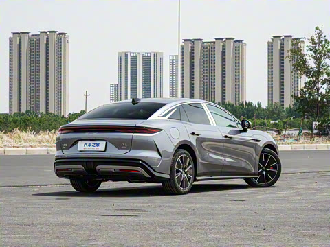 2025�� DM-i 200KM�����״�������