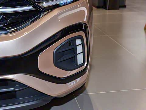 2025�� 300TSI DSG���������