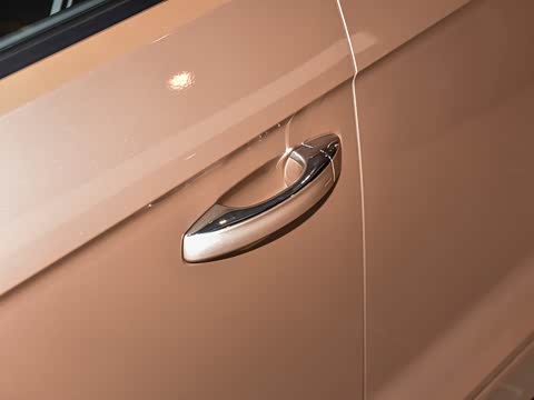 2025�� 300TSI DSG���������