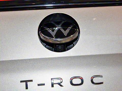 2025�� 300TSI DSG���������