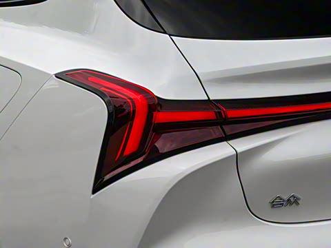 2024�� ����300 Pro��