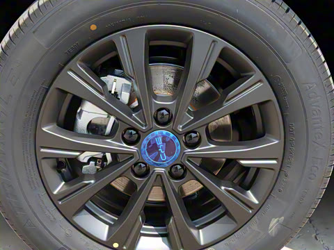 2025�� 520���а�