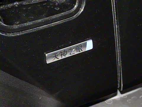 2025�� 501KM ����Max��