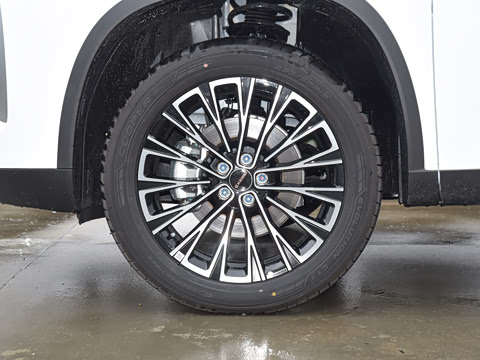 2025�� 300T ������ҫ��